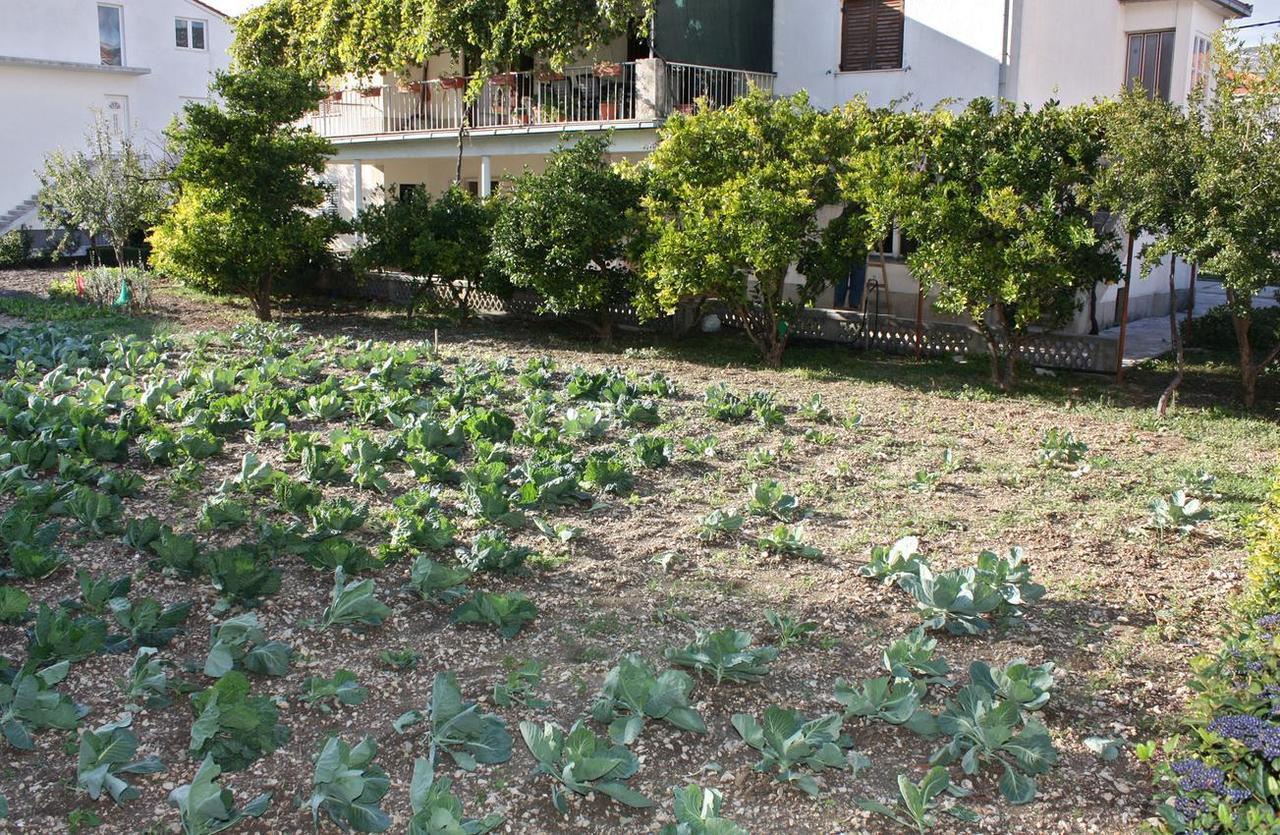 Apartments With A Parking Space Kastel Stafilic, Kastela - 5219 Bagian luar foto